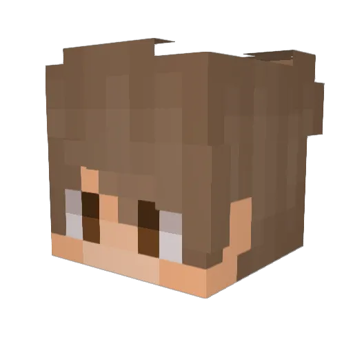 FredeJH Minecraft avatar head, 3D render