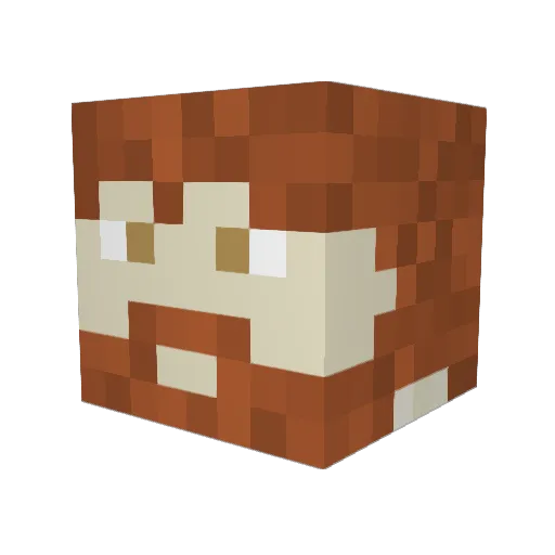 Frederik5555 Minecraft avatar head, 3D render