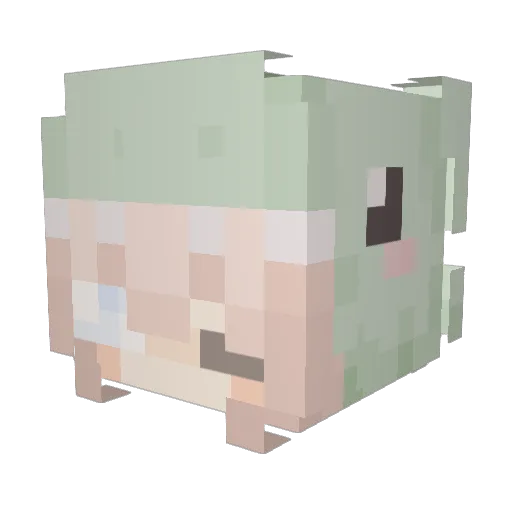 Frederikke_2010 Minecraft avatar head, 3D render