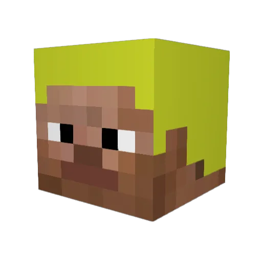 Fredi2019 Minecraft avatar head, 3D render