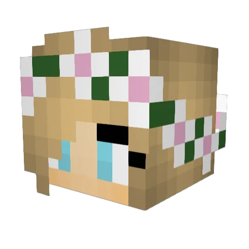 Frediboss1 Minecraft avatar head, 3D render
