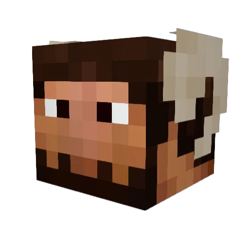 Fredicles Minecraft avatar head, 3D render