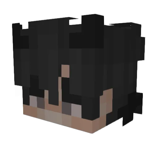 Fredkitty370 Minecraft avatar head, 3D render