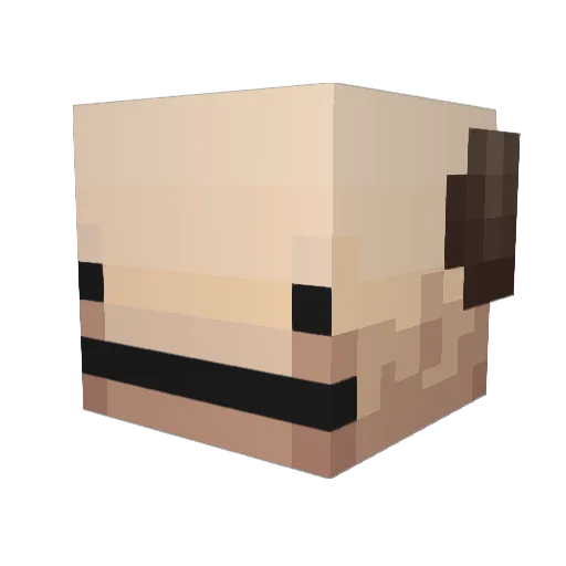 Fredo999 Minecraft avatar head, 3D render