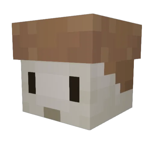 Fredolator Minecraft avatar head, 3D render
