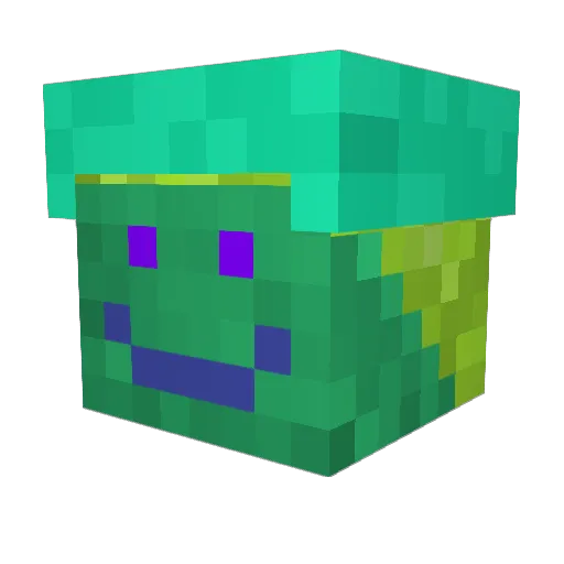 Fredovits Minecraft avatar head, 3D render