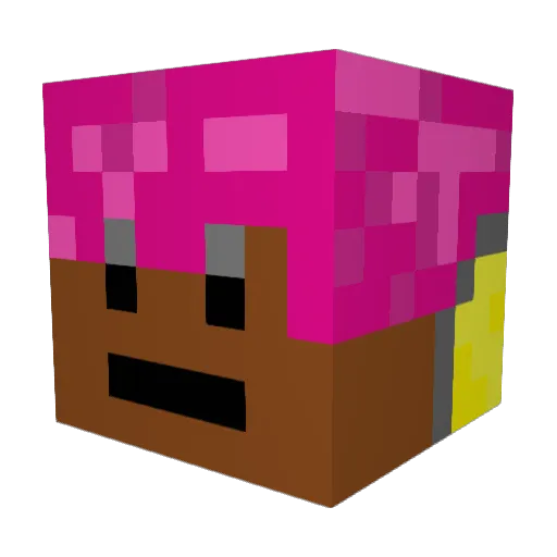 Fredrik0508 Minecraft avatar head, 3D render