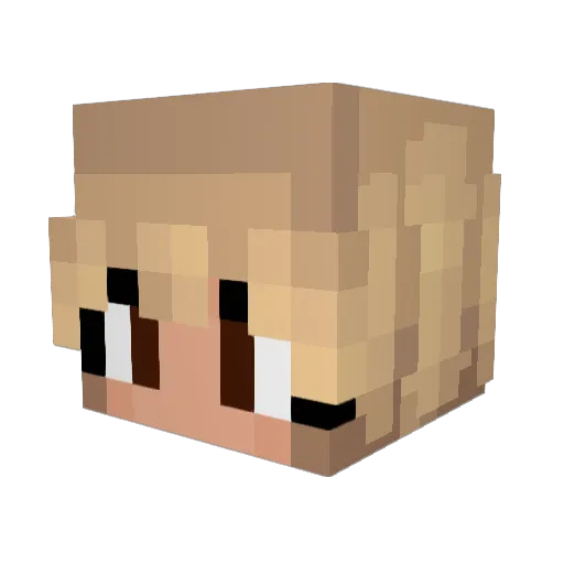 Fredrik1573 Minecraft avatar head, 3D render
