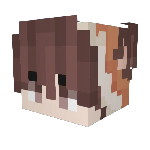 Fredstail Minecraft avatar head, 3D render