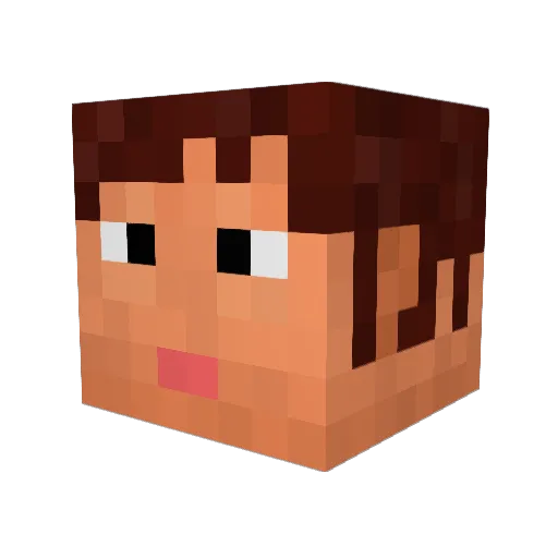 Fredthunder Minecraft avatar head, 3D render