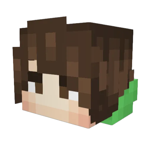 FredyFrog Minecraft avatar head, 3D render