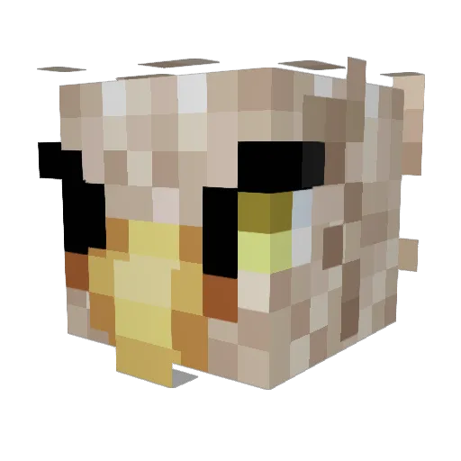 FreeBird Minecraft avatar head, 3D render