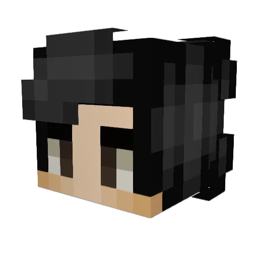 FreeBongRips29 Minecraft avatar head, 3D render
