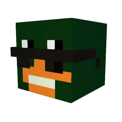 FreeDuckk911 Minecraft avatar head, 3D render