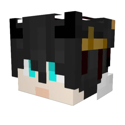 FreeFalling_Snow Minecraft avatar head, 3D render