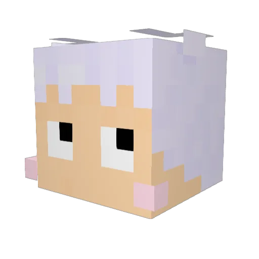 FreeFreeFreesner Minecraft avatar head, 3D render