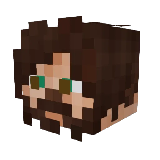 FreeH02 Minecraft avatar head, 3D render
