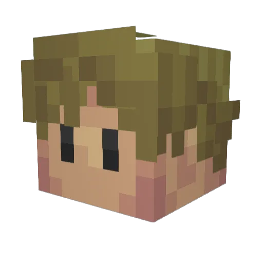 FreeJusticeHere Minecraft avatar head, 3D render