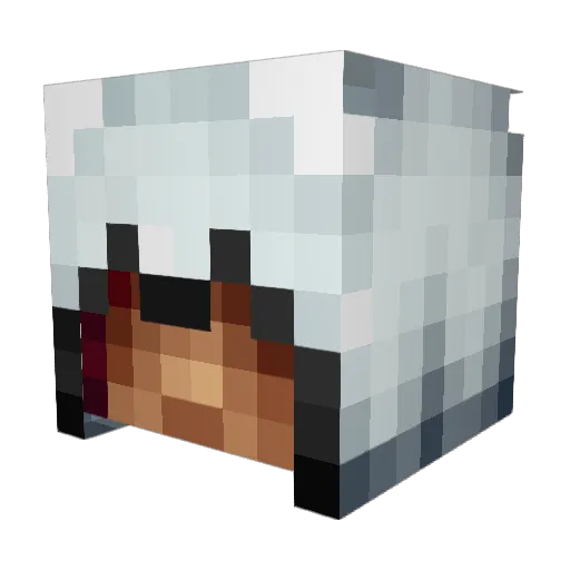 FreeMeat Minecraft avatar head, 3D render