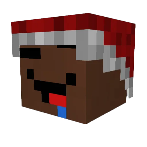 FreeMonkey9165 Minecraft avatar head, 3D render
