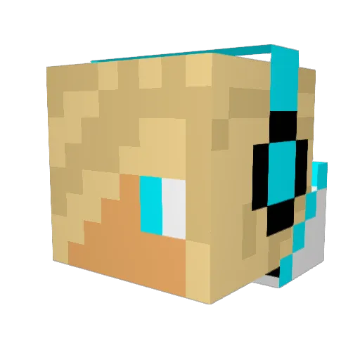 FreeRosaParks Minecraft avatar head, 3D render