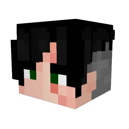 FreeShini Minecraft avatar head, 3D render