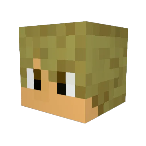 FreeSkies Minecraft avatar head, 3D render