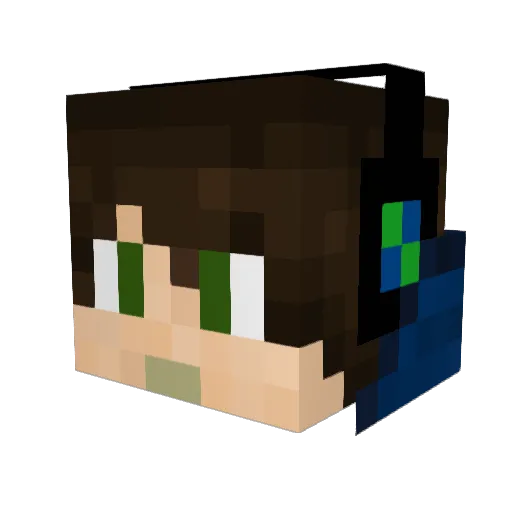 FreeStyleNinja11 Minecraft avatar head, 3D render