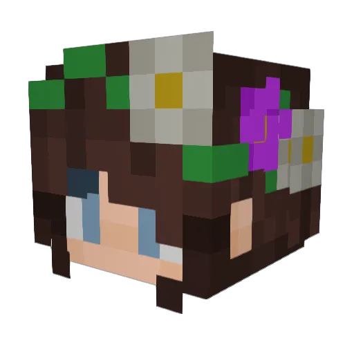 FreeTreeHugss Minecraft avatar head, 3D render