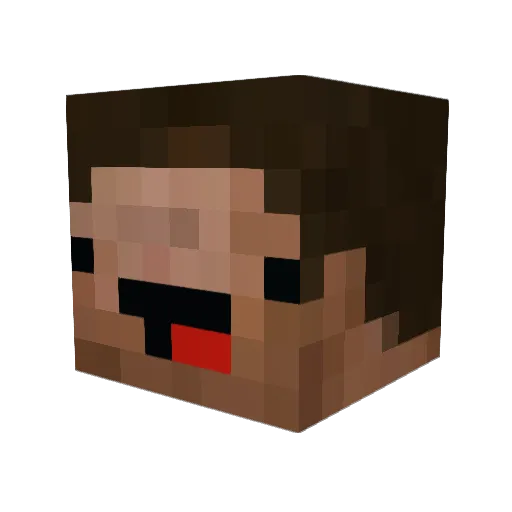 FreeWillWarrior Minecraft avatar head, 3D render