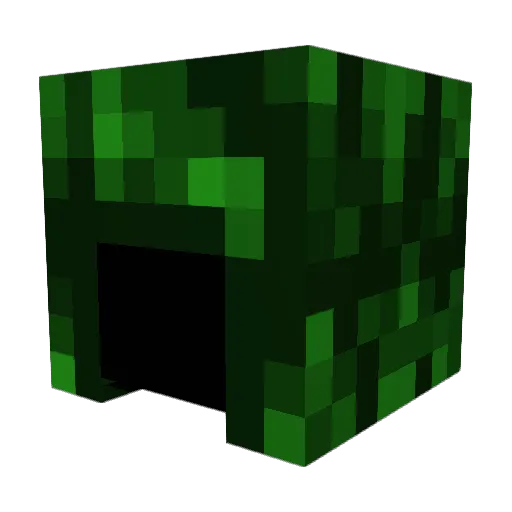 Free_Fall_pl Minecraft avatar head, 3D render