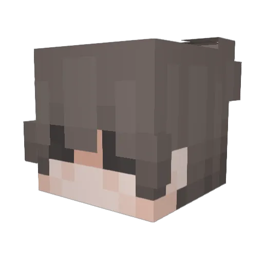 Free_Tobe Minecraft avatar head, 3D render