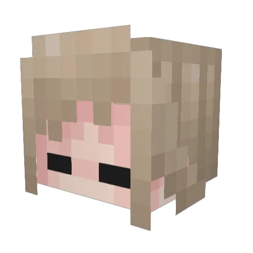 Free__Wifi Minecraft avatar head, 3D render