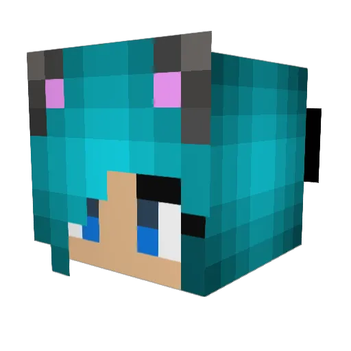 Freebird22 Minecraft avatar head, 3D render