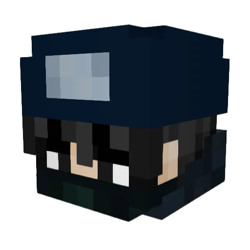 Freebug_fewy Minecraft avatar head, 3D render