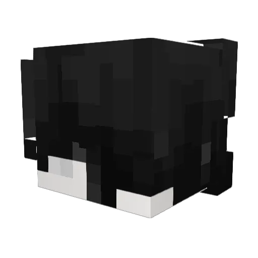 FreedBeed Minecraft avatar head, 3D render