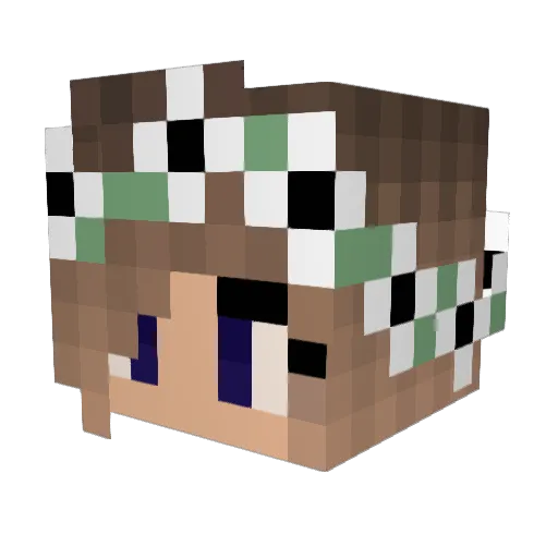 Freeda19 Minecraft avatar head, 3D render