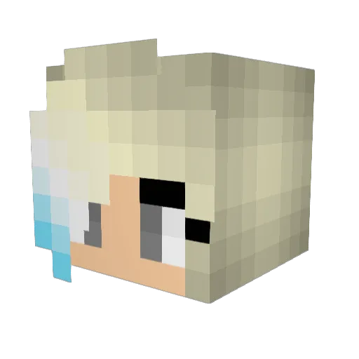 FreedomBoulevard Minecraft avatar head, 3D render