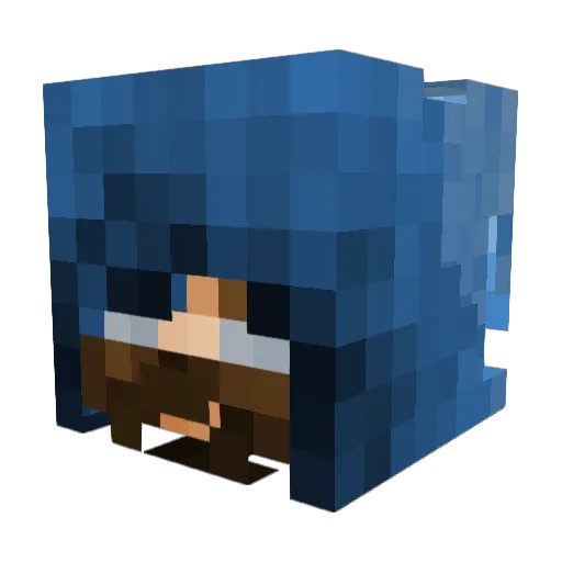FreedomField93 Minecraft avatar head, 3D render