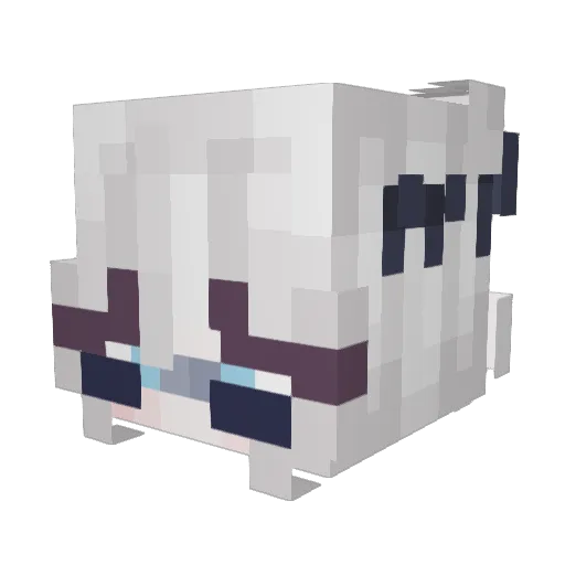 FreedomForAll Minecraft avatar head, 3D render