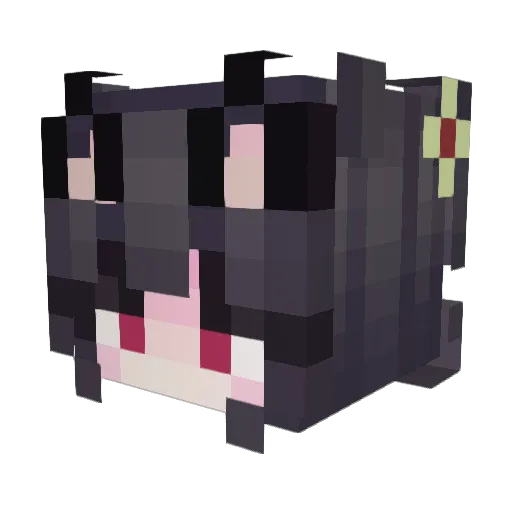 FreedomNine Minecraft avatar head, 3D render
