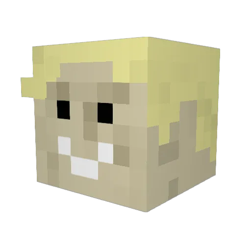 FreedomPenguin Minecraft avatar head, 3D render