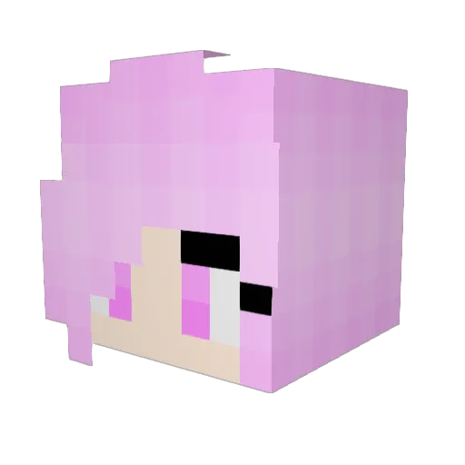 FreedomWasFound Minecraft avatar head, 3D render