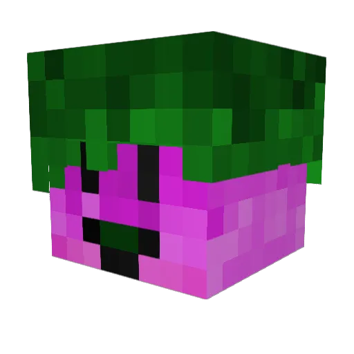 Freedomb Minecraft avatar head, 3D render