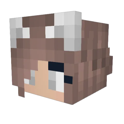 Freehats Minecraft avatar head, 3D render