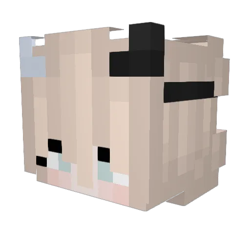 FreeksLP Minecraft avatar head, 3D render