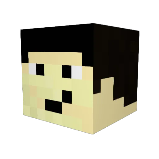 Freelancer_Neo Minecraft avatar head, 3D render