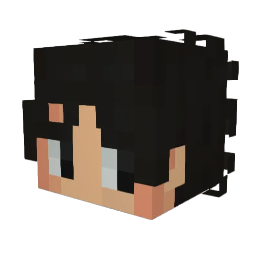 Freelink46 Minecraft avatar head, 3D render