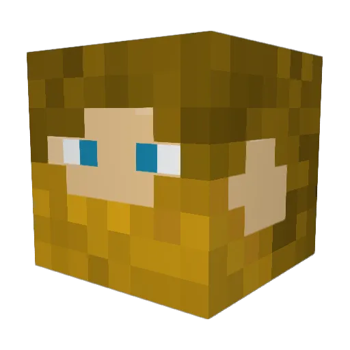 Freeman_22 Minecraft avatar head, 3D render