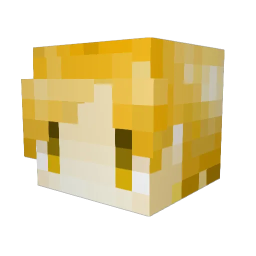 Freeman_Sai Minecraft avatar head, 3D render